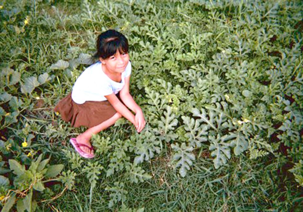 EPA Restricts Pesticide Linked to Learning Disabilities in Children