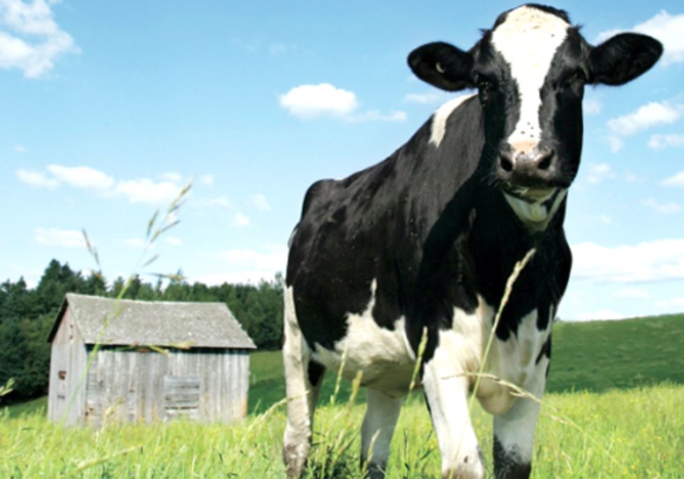 Well-Treated Animals Show Vastly Superior Nutritional Benefits over Factory Farmed Animals