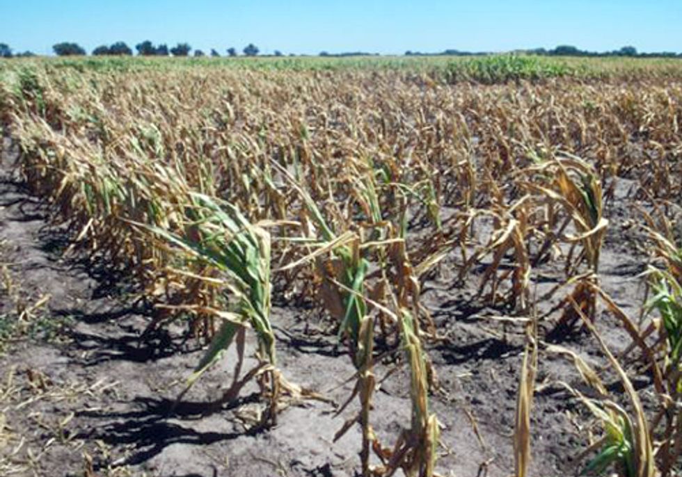 World in Serious Trouble on Food Front