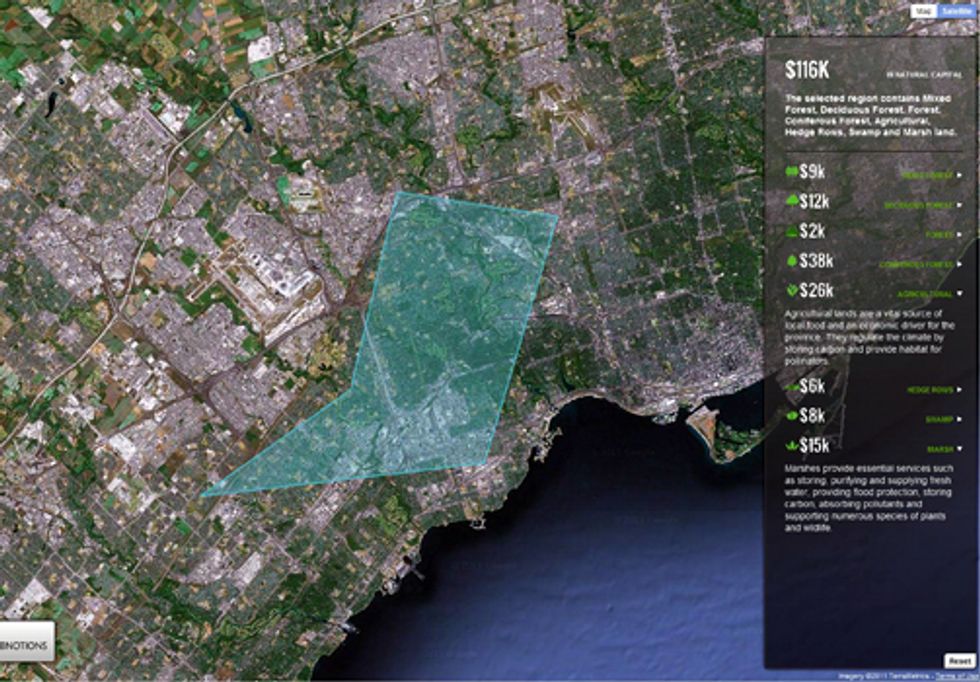 Google Earth Helps Solve the Nature Equation