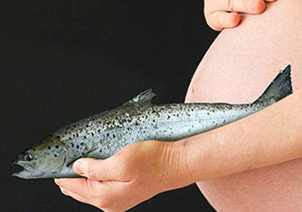 Lawsuit Challenges FDA's Failure to Protect Public from Mercury in Fish