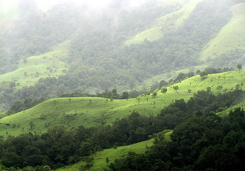 Growing Threats to Biodiversity 'Arks'