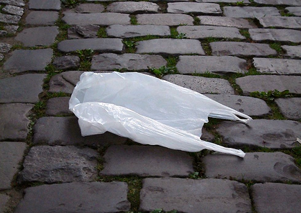 Are Plastic Bags Really Necessary?