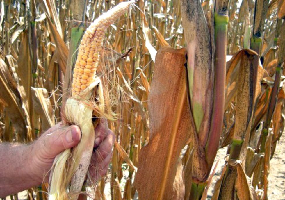 Severe Drought Shows Stupidity of Corn Ethanol Mandate
