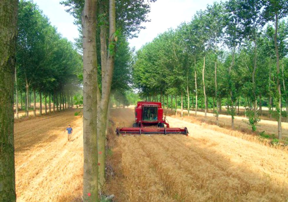 12 Innovations to Combat Drought, Improve Food Security and Stabilize Food Prices