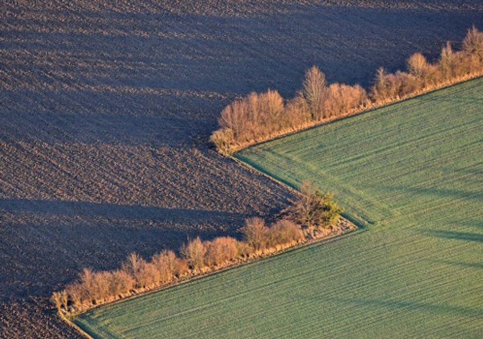 How Crop Subsidies Contribute to Massive Habitat Losses