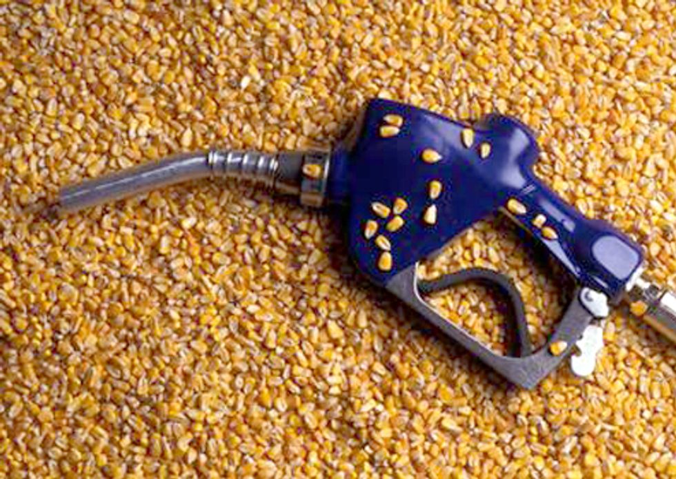 Debate Between Food vs. Fuel Heats Up—UN Pressures Obama to Immediately Suspend Corn Ethanol Mandate