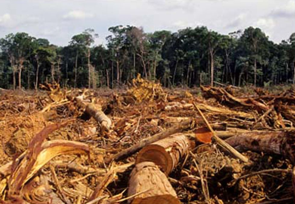 How Environmental Factors Contribute to Human Health