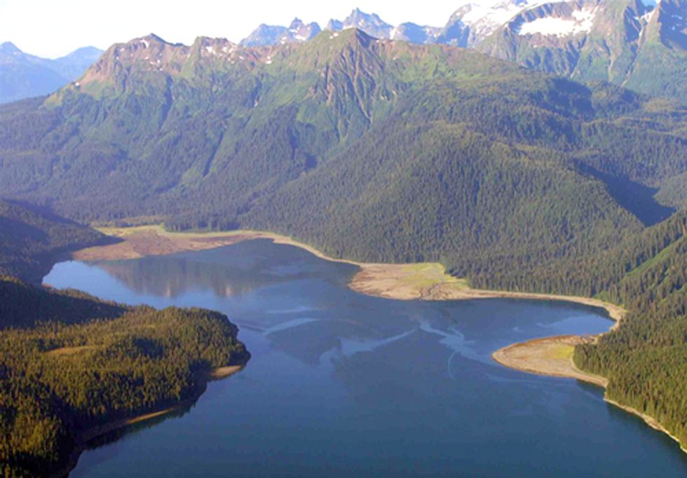Industry Lawsuit Attacks Science and Sustainability on National Forests