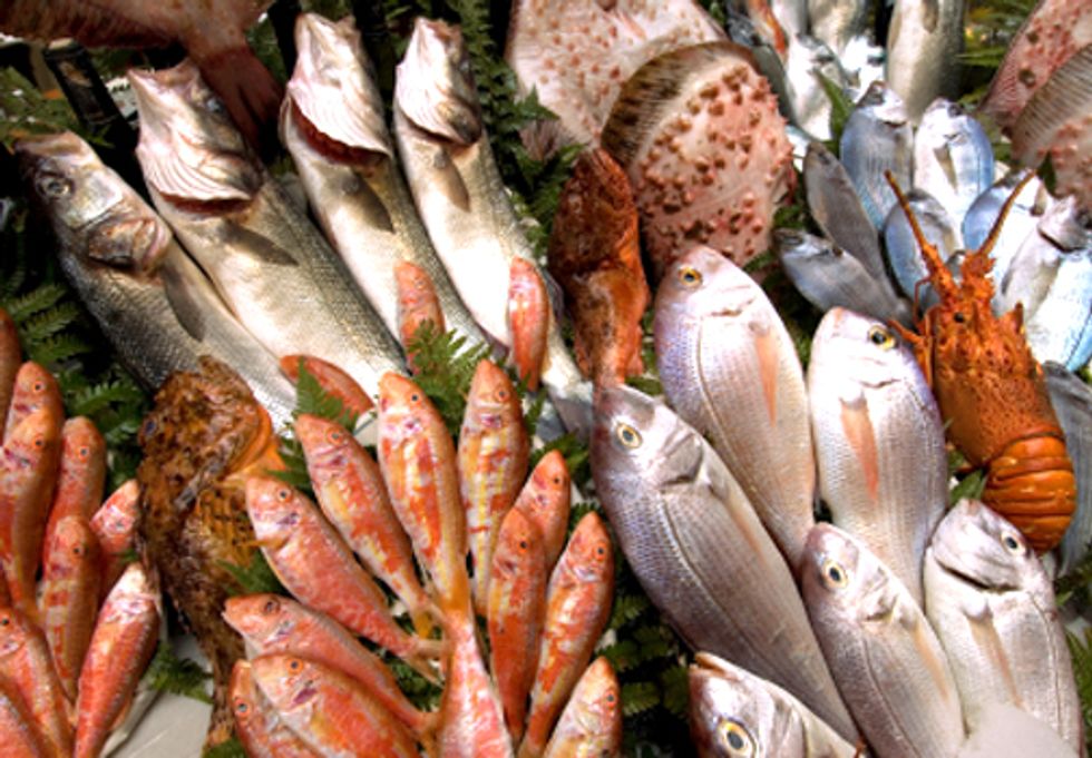 World's Insatiable Appetite for Fish Decimates Wild Fish Population