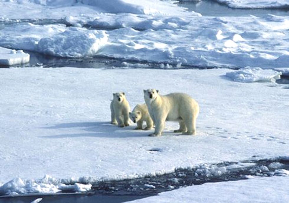Climate Change Deniers Are Almost Extinct