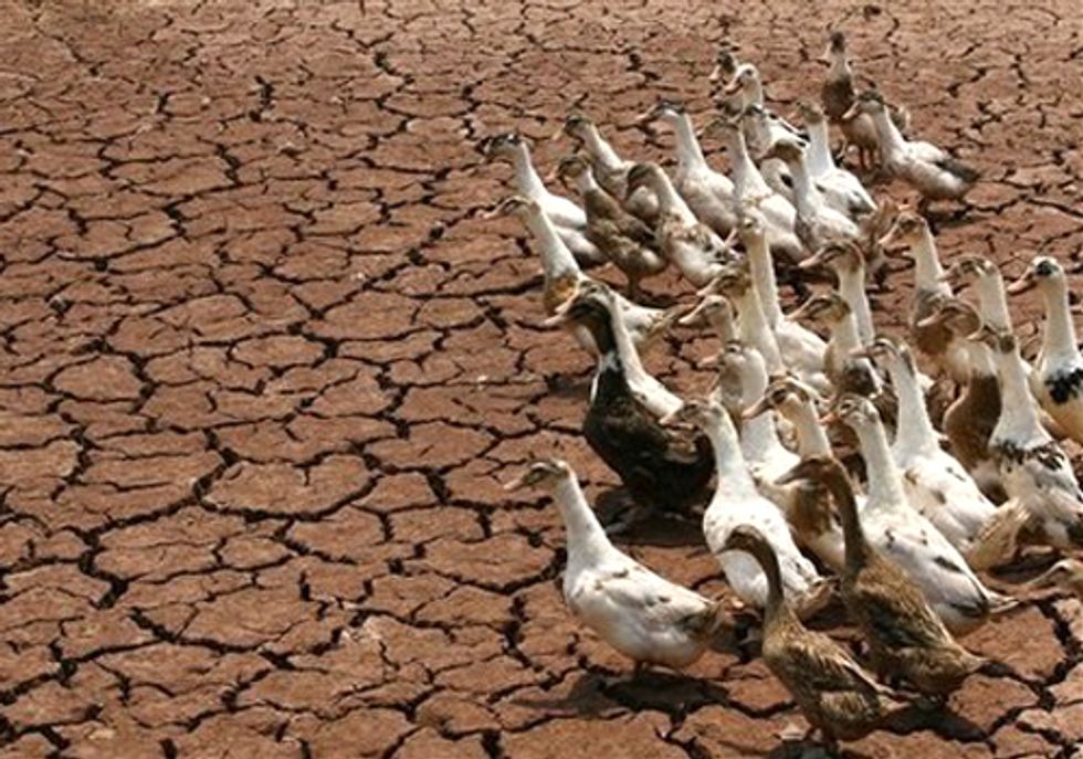 United Nations Calls for Stronger Policies to Address Worldwide Drought