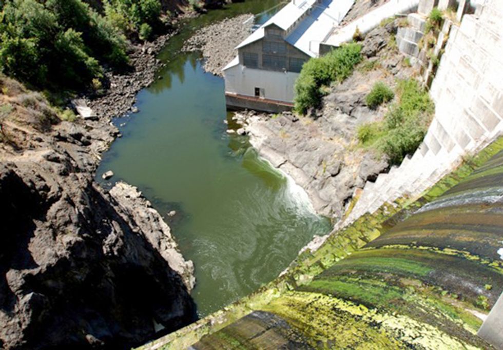 Razing Dams From the River That Raised Me