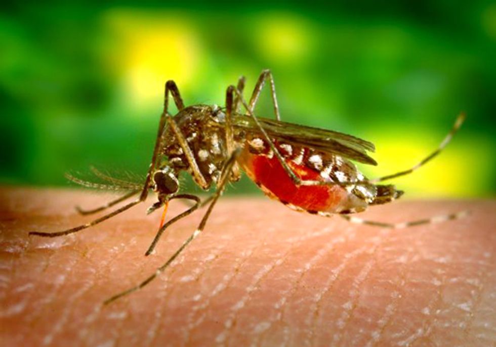 West Nile Virus Outbreak Linked to Climate Change