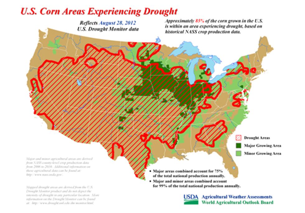 Drought Devastates U.S. Corn Crop, Spikes Worldwide Food Prices
