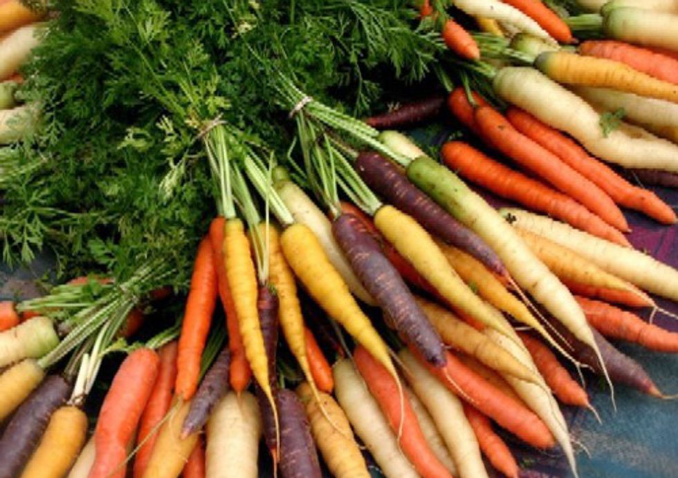 Organic Produce Reduces Exposure to Pesticides, Research Confirms