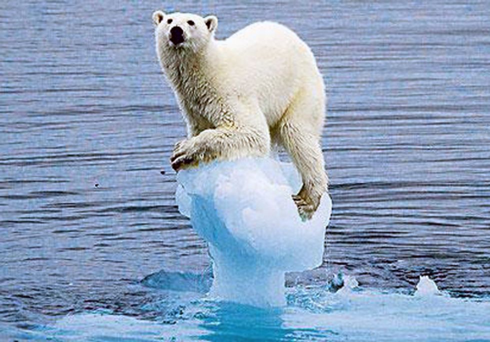 A Summer of Extremes Signifies the New Normal