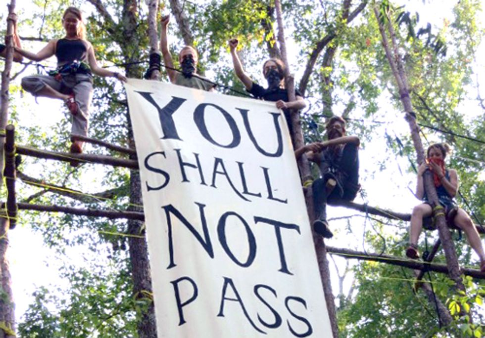 BREAKING: Eight Blockaders Start Indefinite Tree Sit to Stop Keystone XL Pipeline Construction