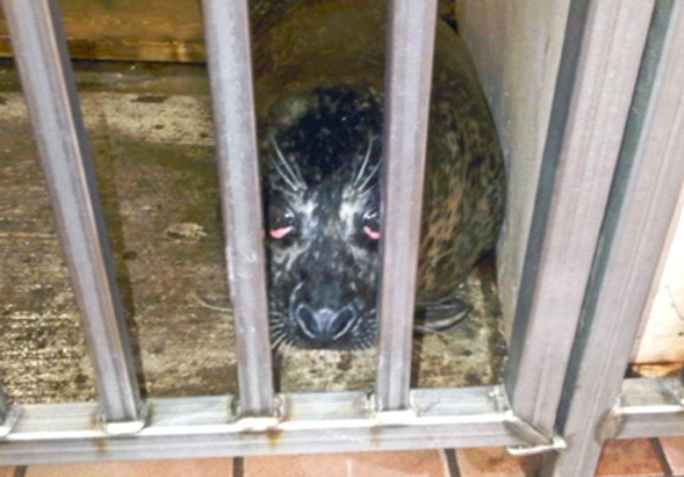 Deplorable Conditions at Marineland Canada has Employees and Community Members Speaking Out