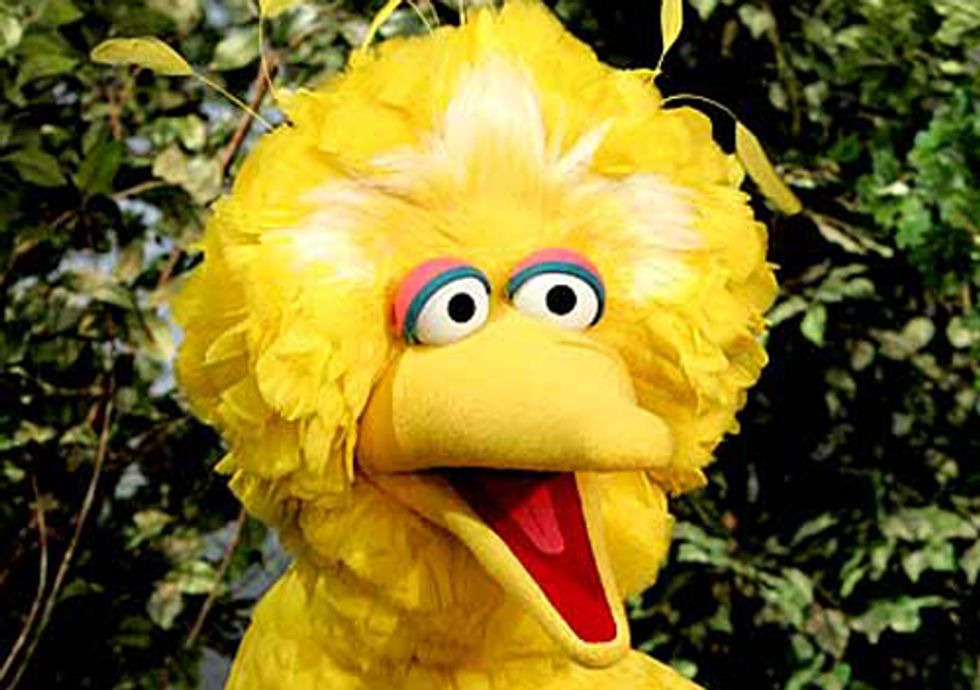 Looks Like Big Bird and Climate Change Have Been Abandoned