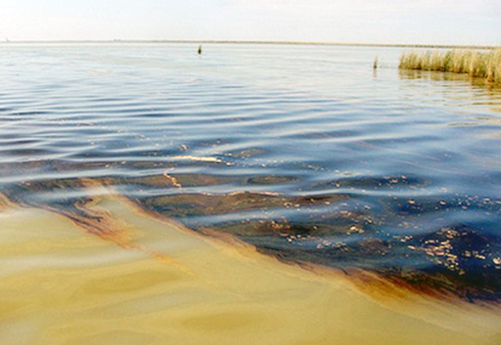 Will U.S. Taxpayers Foot the Bill for BP Oil Spill Cleanup?