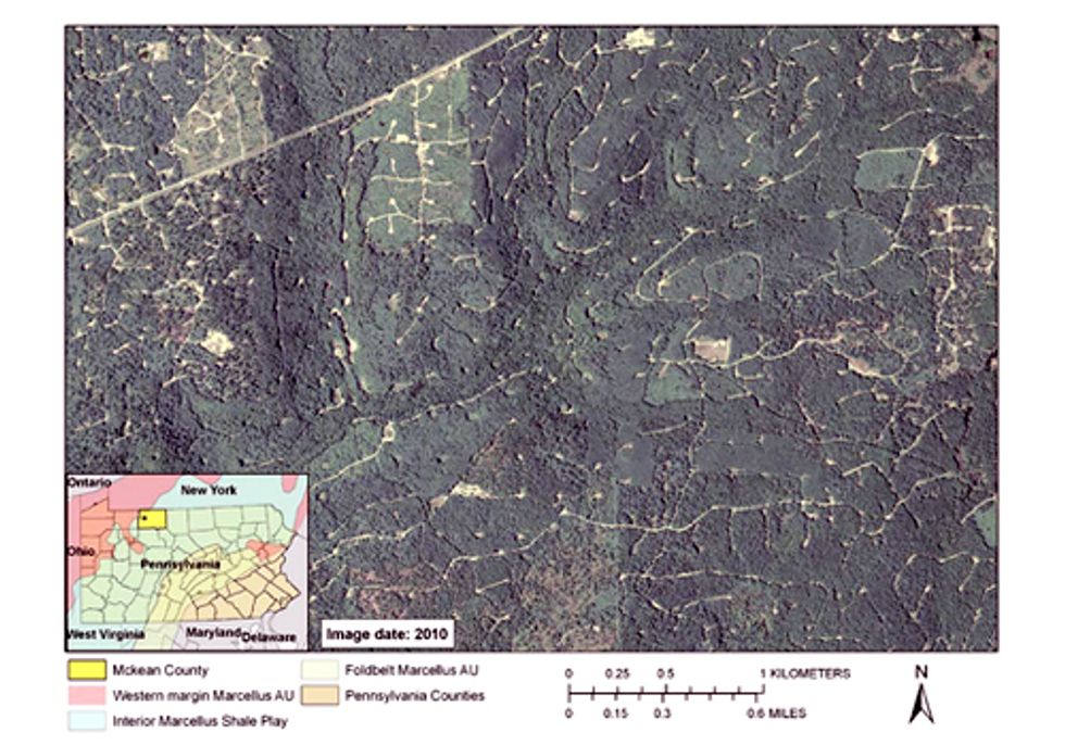 Report Details How Natural Gas Extraction Destroys Forests in PA