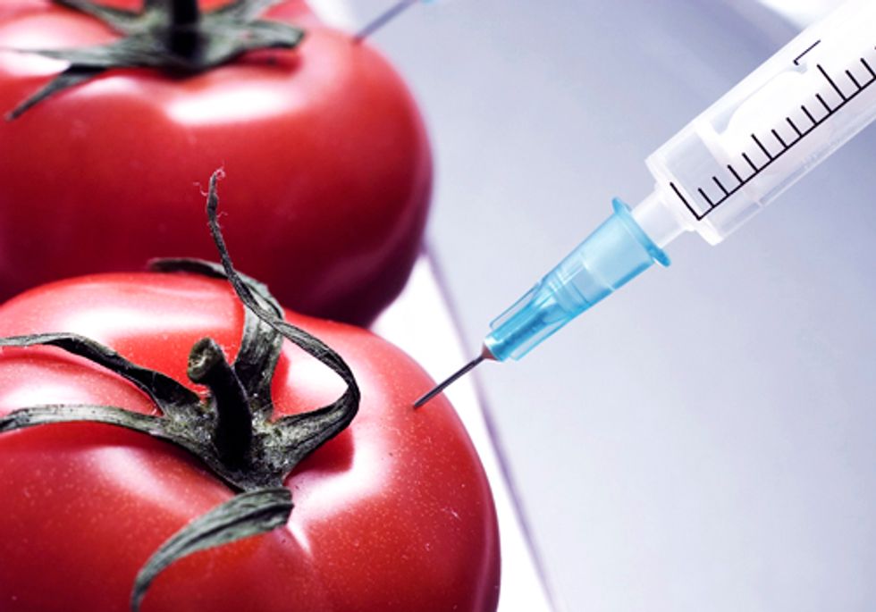 Give Consumers a Choice—Label GMO Foods, Yes on Prop 37