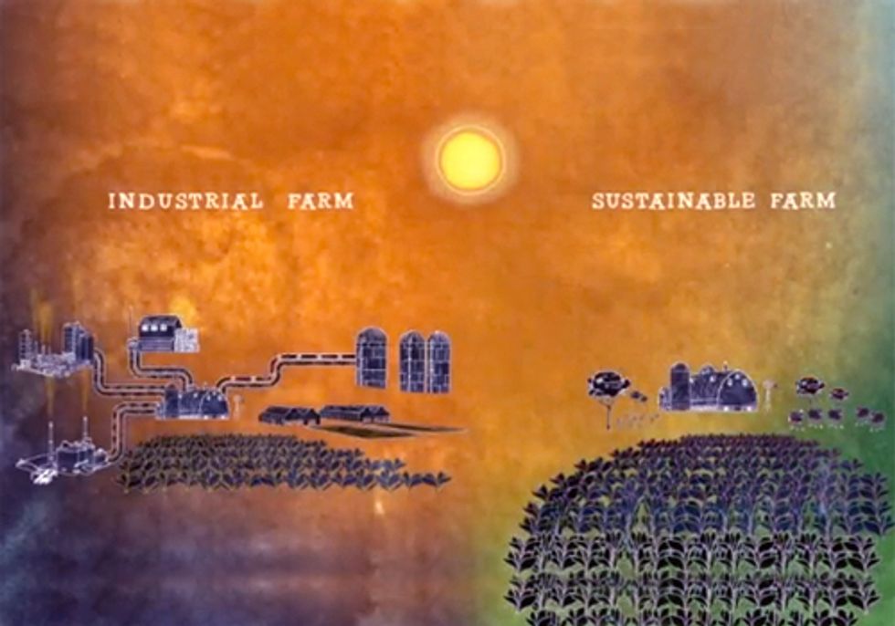 Do We Really Need Industrial Agriculture to Feed the World?