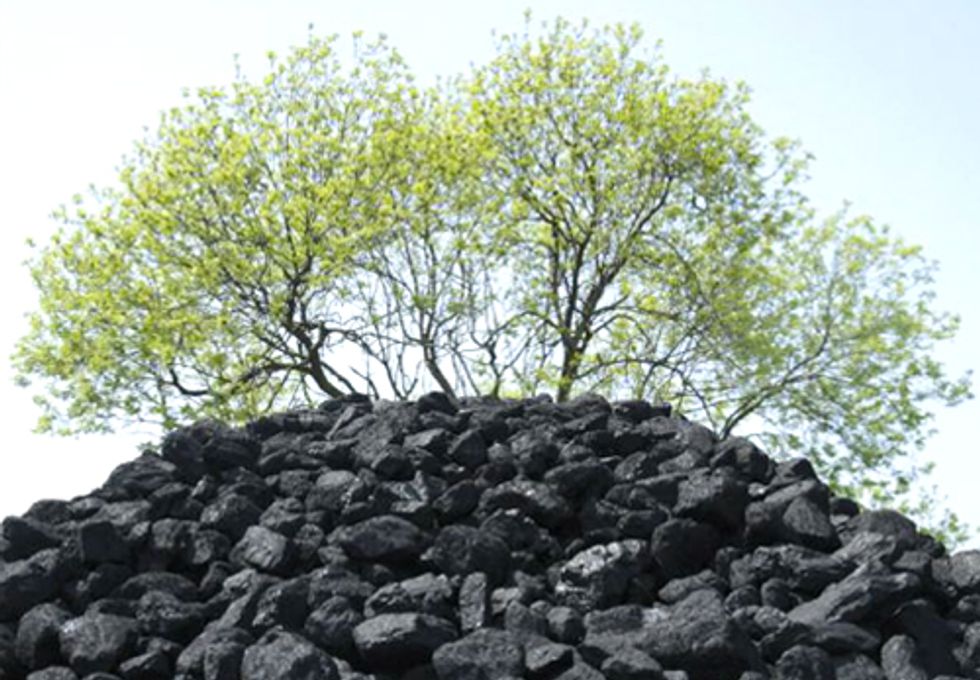 Electricity from Trees Dirtier than Coal