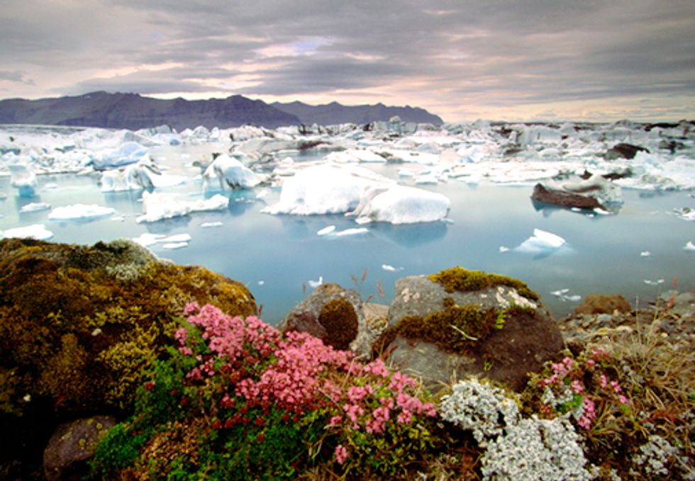 UN Climate Talks Start Today—7 Things You Need to Know