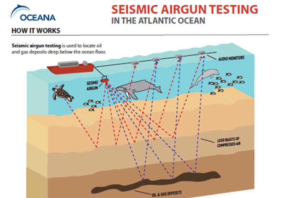 In Wake of Superstorm Sandy Ocean Advocates Decry Proposed Seismic Airgun Testing in Atlantic
