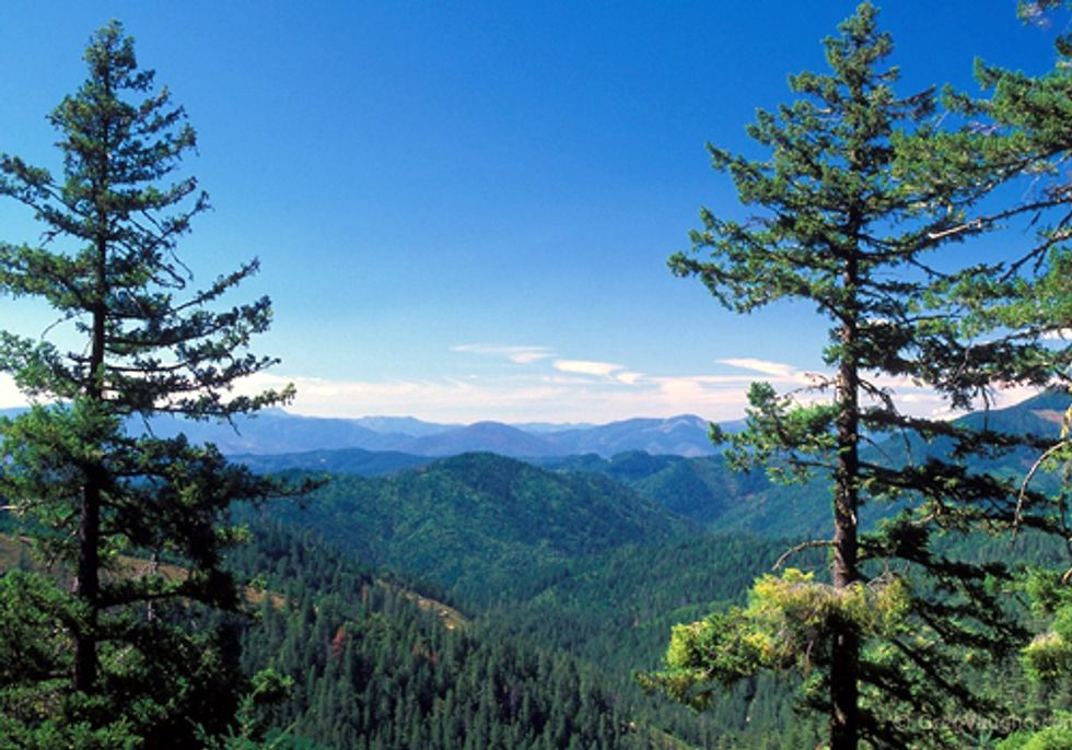 Why Has the Republican Party Abandoned Conservation as a Core Value?