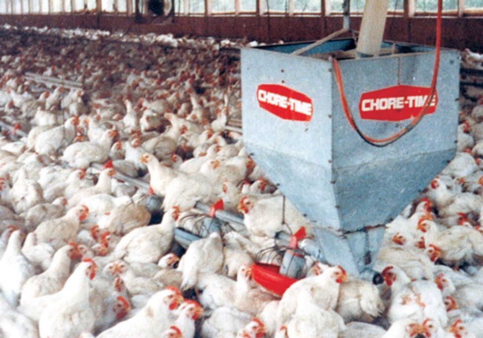 Groups File Motion to Stop Factory Farms from Using Waterways as Dumping Grounds
