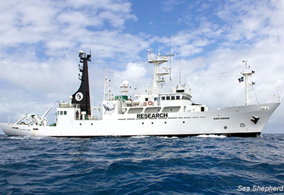 Operation Zero Tolerance Departs for Antarctic to Shut Down Illegal Whaling