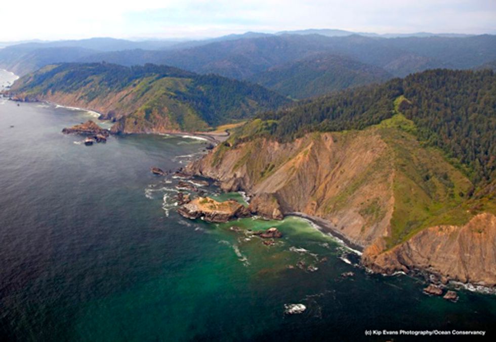 Ocean Victory—California Completes Network of Undersea Parks