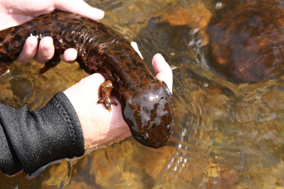 Citizen-Scientists' Plight to Protect Watershed from Fracking