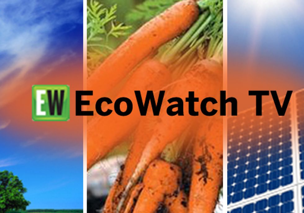 EcoWatch TV Featuring New Fracking Documentary + Filmmakers Joshua Pribanic and Melissa Troutman