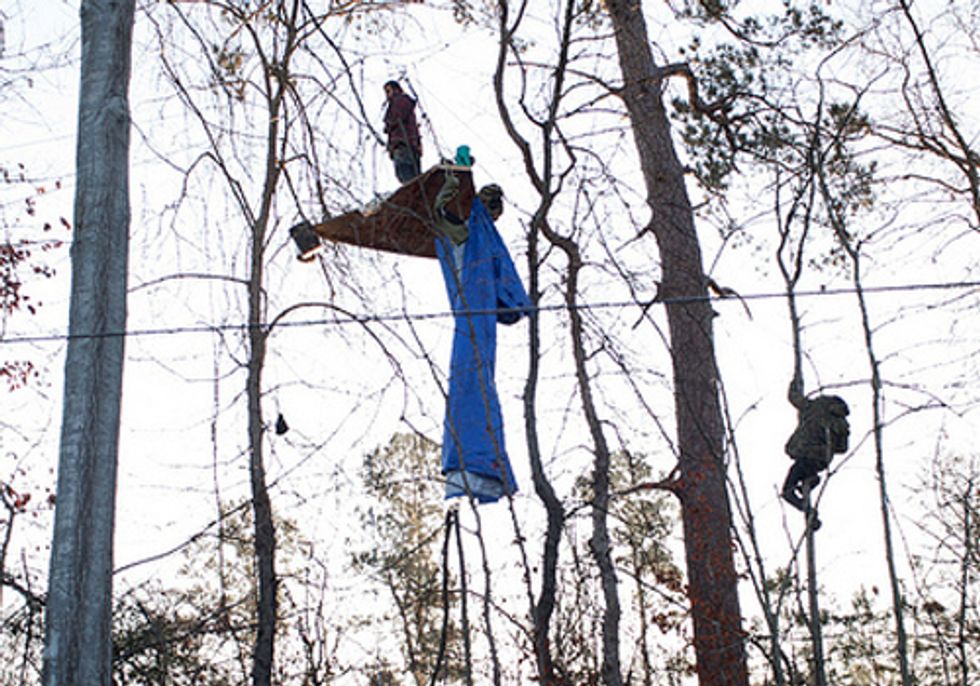 New Tree Blockade Halts Construction of the Keystone XL Pipeline
