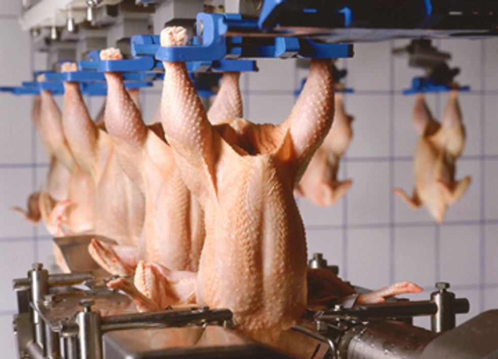 Salmonella Outbreaks Could Worsen with Decreased Poultry Inspections