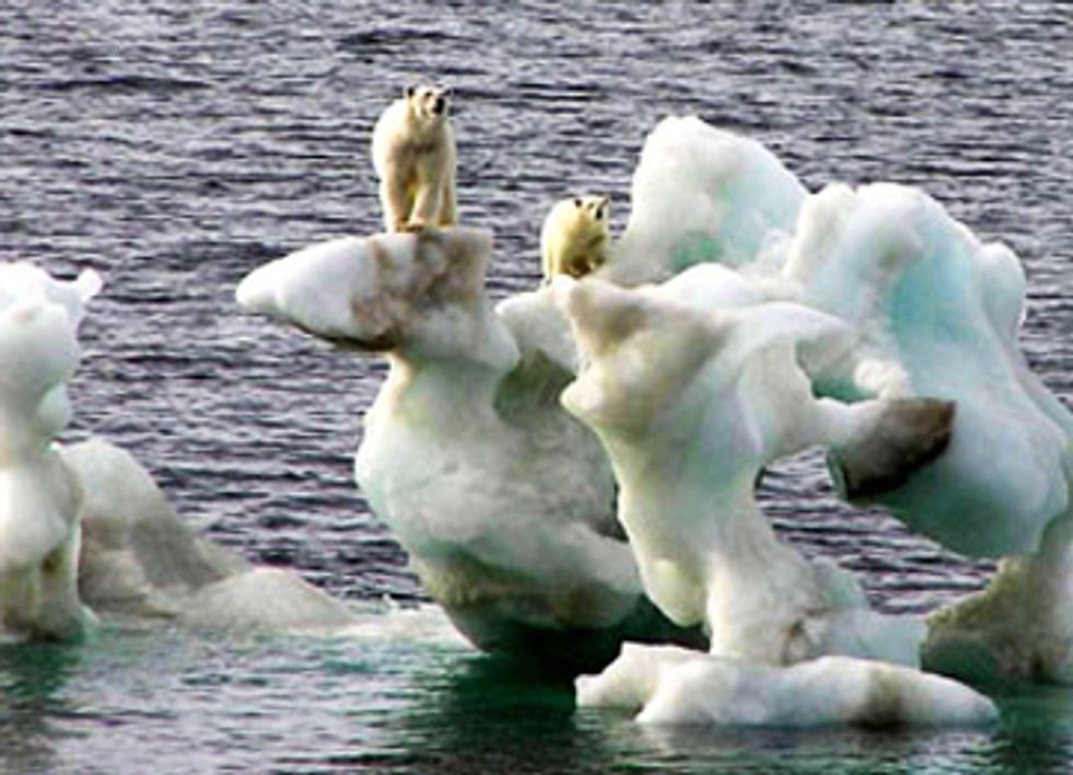 Court Upholds Shell's Arctic Oil Spill Plans Despite Scientific Warnings