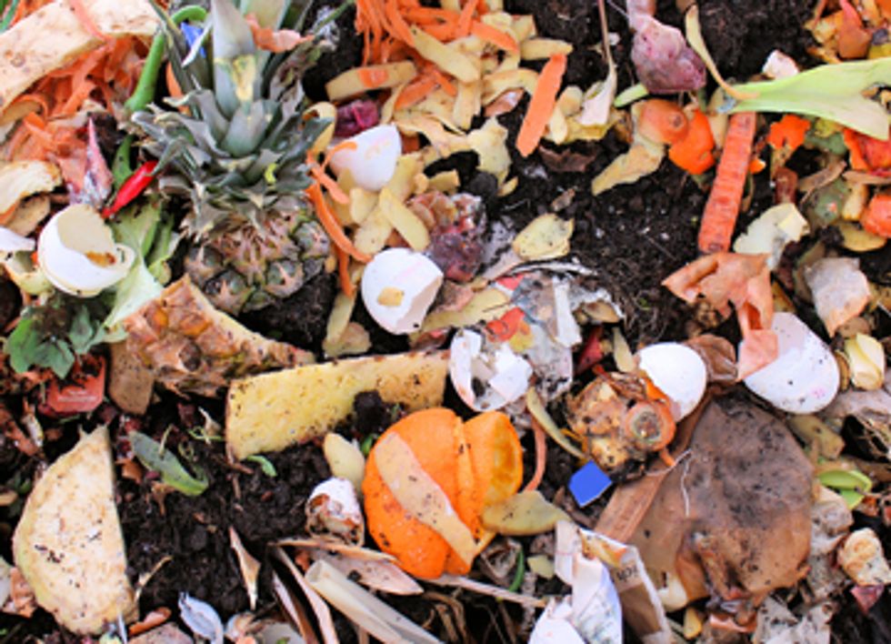 The Global Progress of Composting Food Waste