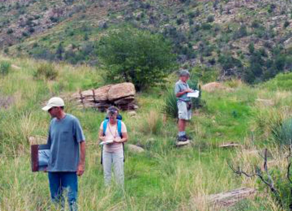 Warming Climate Pushes Plants Up the Mountain