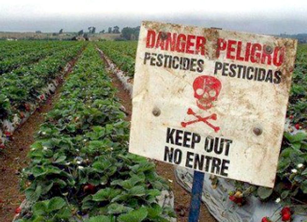 250 Groups Call on EPA to Ban Endocrine-Disrupting Atrazine