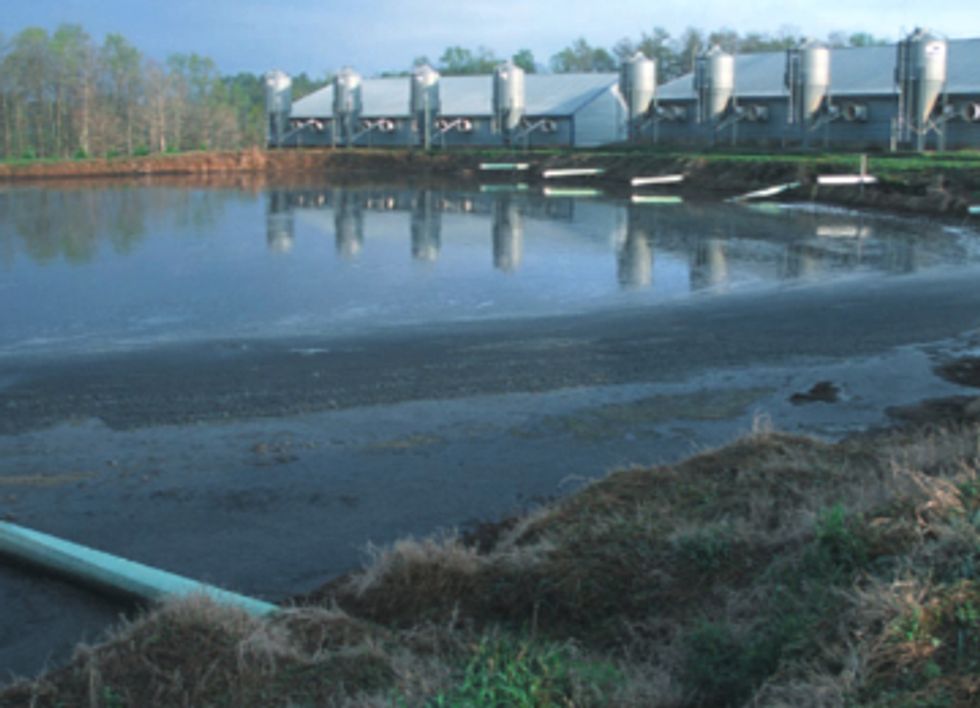 EPA Sued for Abandoning Critical Factory Farm Rule Under Clean Water Act
