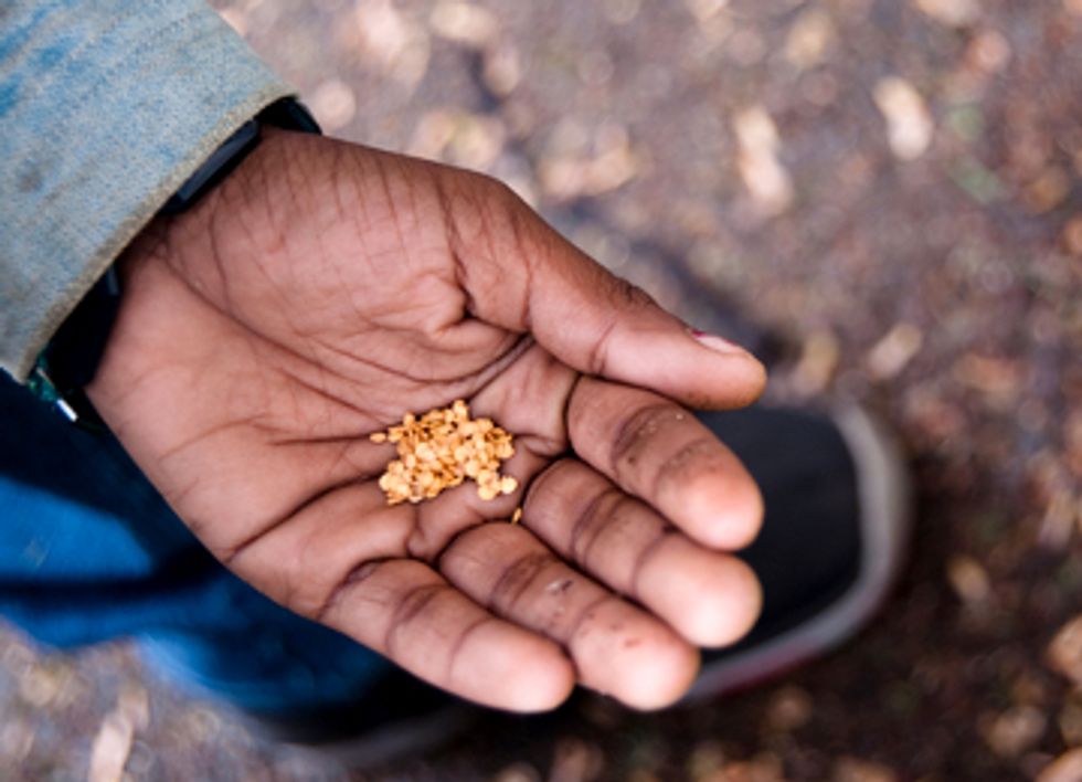 Seed Freedom, Not GMOs, the Answer to Malnutrition and Hunger