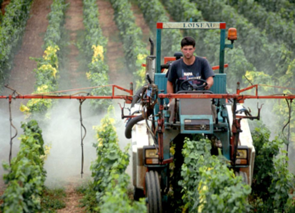 New Generation of Genetically Engineered Crops Found to Drastically Increase Use of Toxic Pesticides