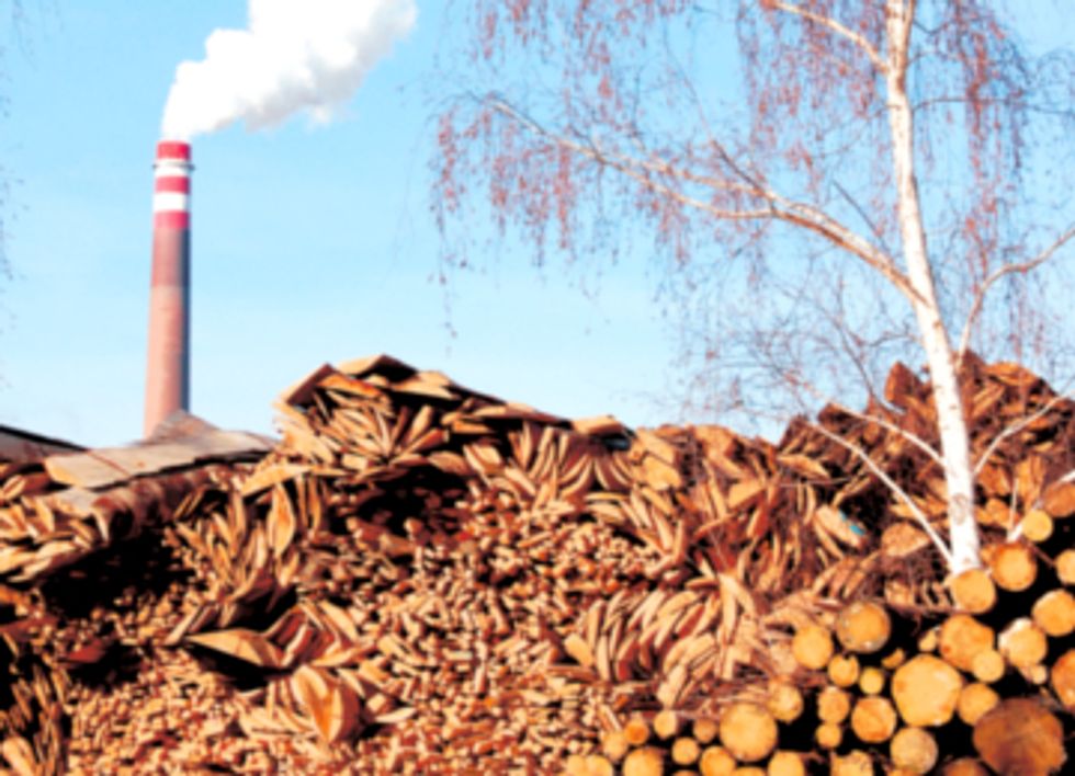 U.S. Becomes Largest Wood Pellet Exporter, Clearcutting Forests and Destroying Wetlands