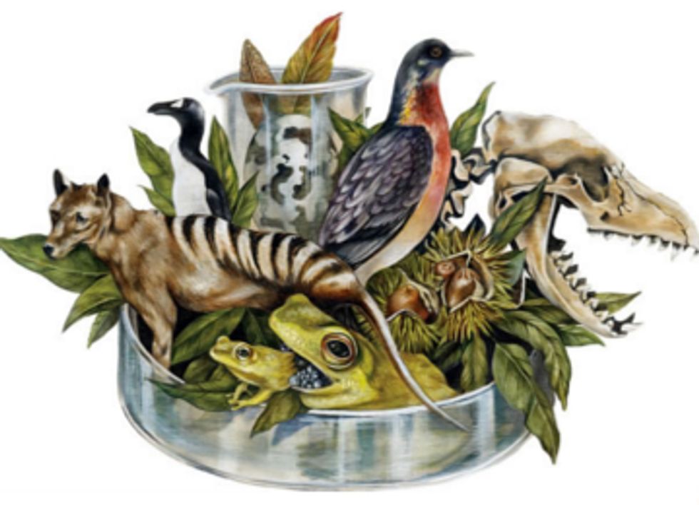 De-Extinction: If We Could Revive a Species, Does It Mean We Should?
