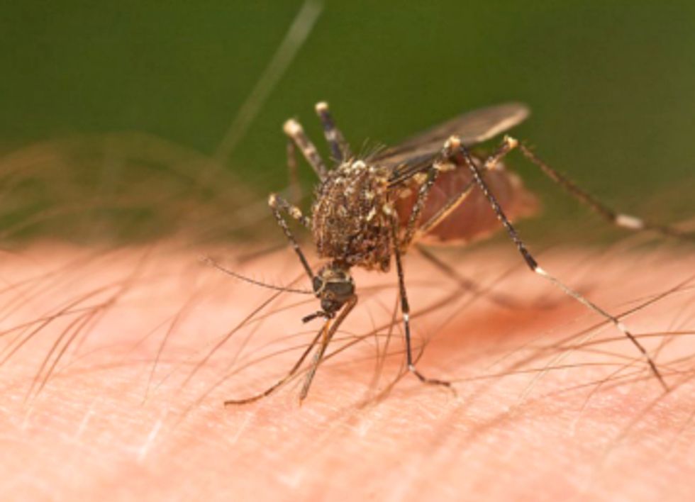 Effects of Climate Change on the Spread of West Nile Virus