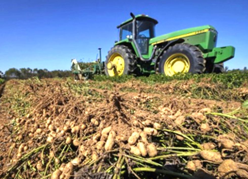 City Slickers Harvest Cash Crop